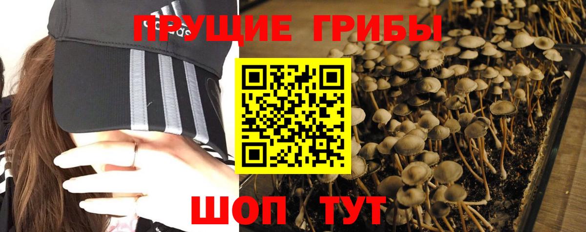 Псилоцибиновые грибы ЛСД Махачкала