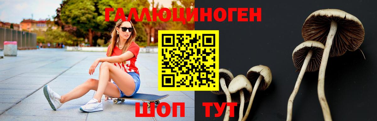 Галлюциногенные грибы прущие грибы  Вход с VPN  как найти закладки  Махачкала 