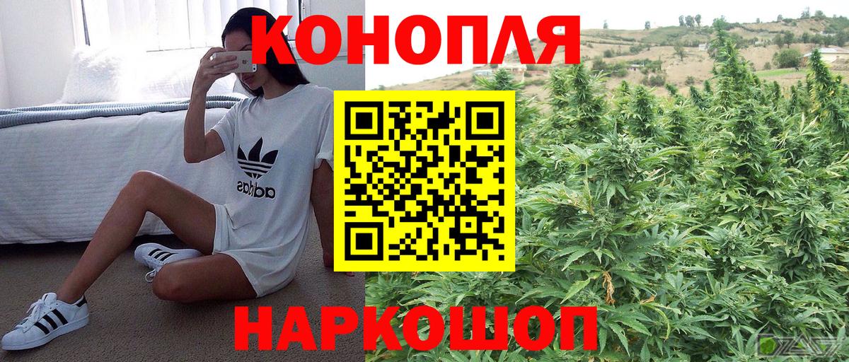 Конопля план Махачкала